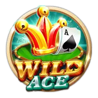 Wild Ace